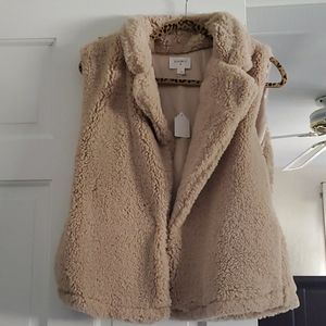 Adorable teddy bear fur vest